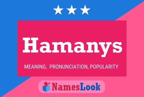 Poster del nome Hamanys