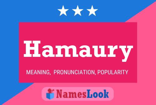 Poster del nome Hamaury