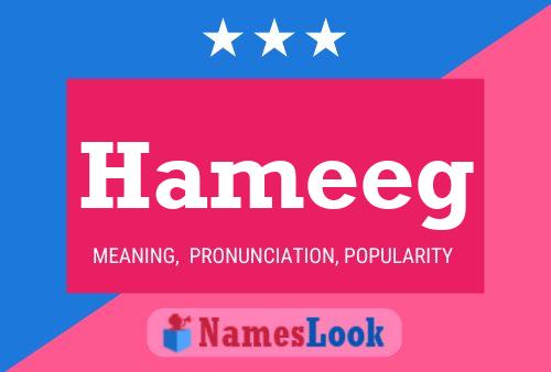 Poster del nome Hameeg