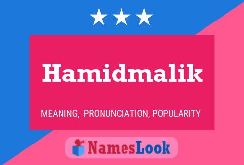 Poster del nome Hamidmalik