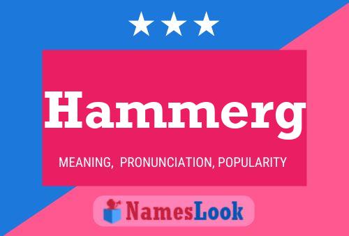 Poster del nome Hammerg