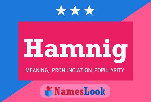 Poster del nome Hamnig