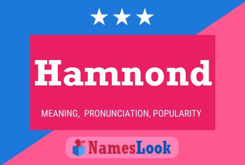 Poster del nome Hamnond