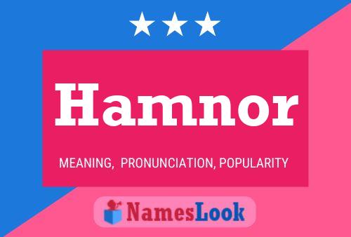 Poster del nome Hamnor