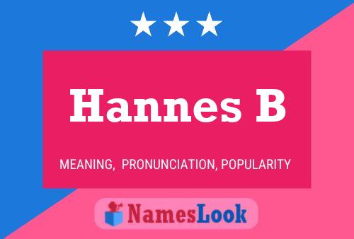 Poster del nome Hannes B