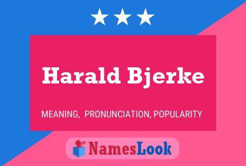 Poster del nome Harald Bjerke