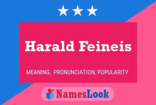 Poster del nome Harald Feineis