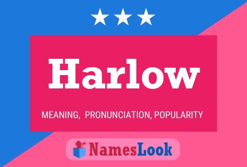 Poster del nome Harlow