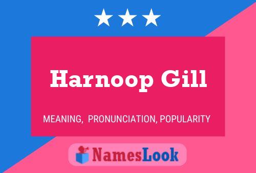 Poster del nome Harnoop Gill