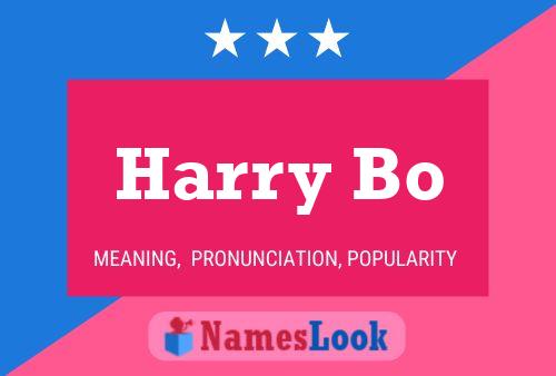 Poster del nome Harry Bo