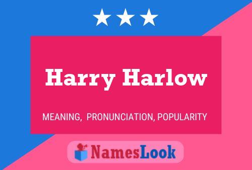 Poster del nome Harry Harlow