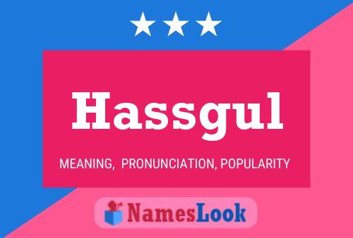 Poster del nome Hassgul