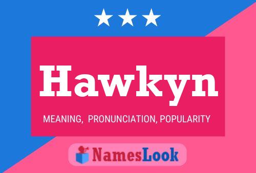 Poster del nome Hawkyn