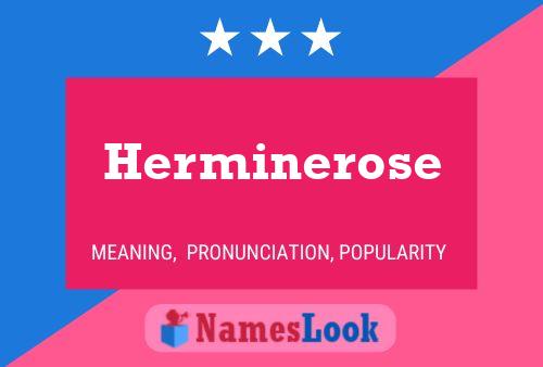 Poster del nome Herminerose