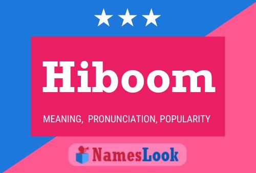 Poster del nome Hiboom