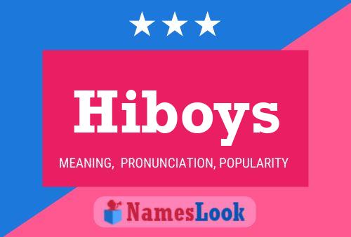 Poster del nome Hiboys