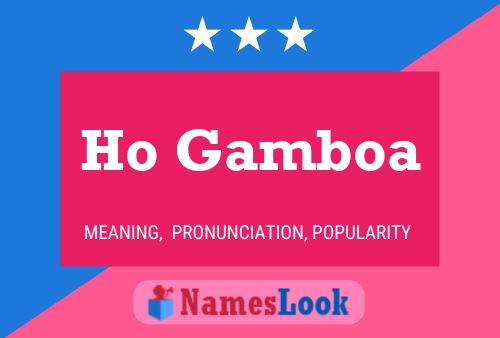 Poster del nome Ho Gamboa