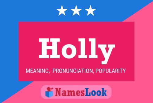 Poster del nome Holly