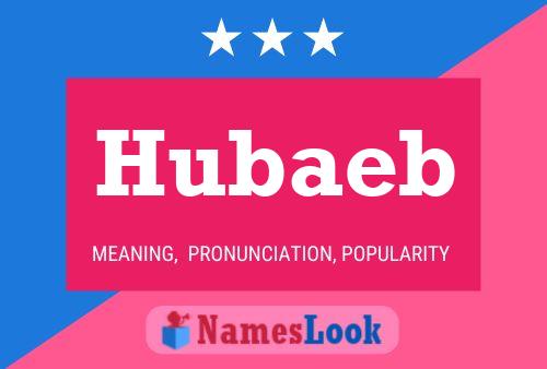 Poster del nome Hubaeb