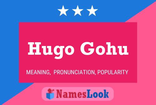 Poster del nome Hugo Gohu