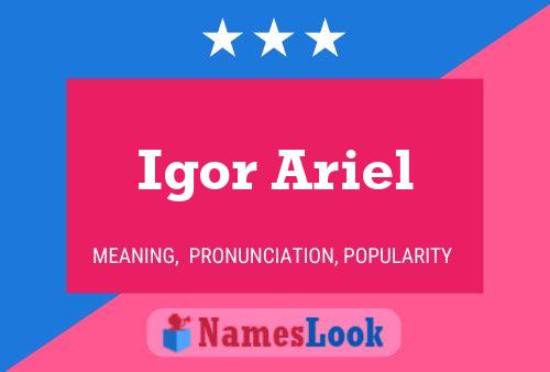 Poster del nome Igor Ariel