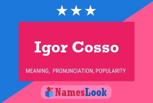 Poster del nome Igor Cosso