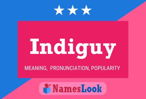 Poster del nome Indiguy