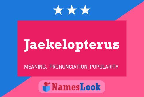 Poster del nome Jaekelopterus