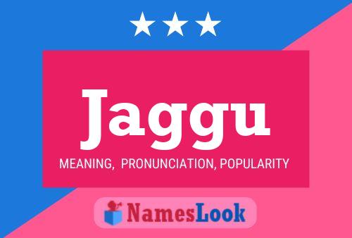 Poster del nome Jaggu