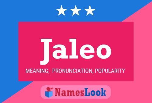 Poster del nome Jaleo