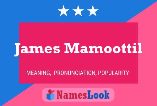 Poster del nome James Mamoottil