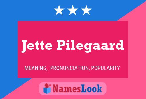 Poster del nome Jette Pilegaard