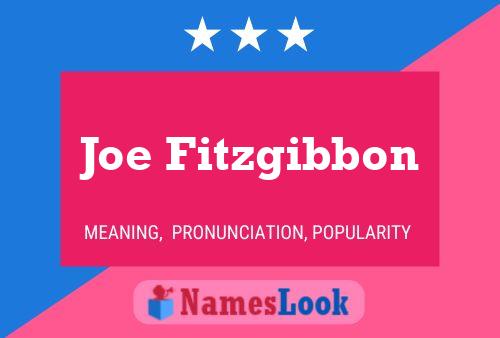 Poster del nome Joe Fitzgibbon