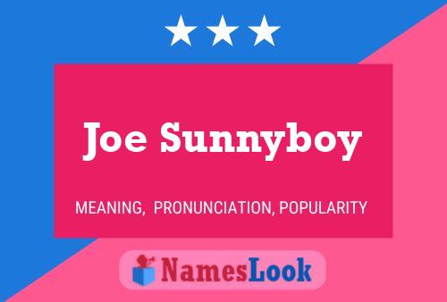 Poster del nome Joe Sunnyboy