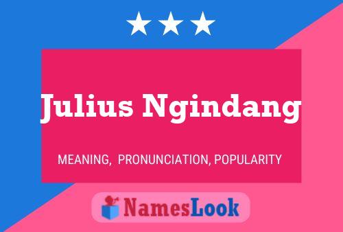 Poster del nome Julius Ngindang