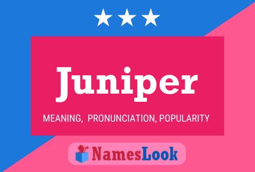 Poster del nome Juniper