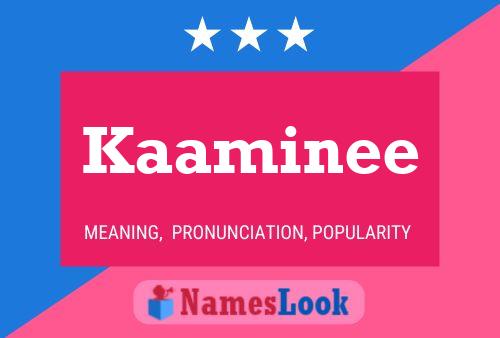 Poster del nome Kaaminee