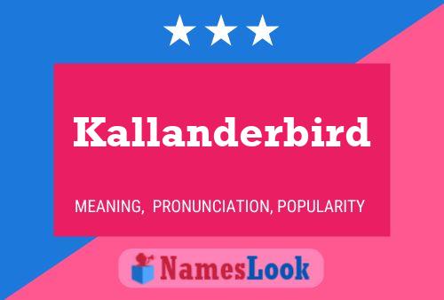 Poster del nome Kallanderbird