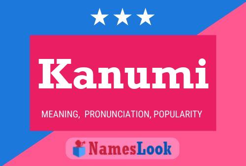 Poster del nome Kanumi