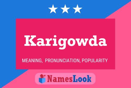 Poster del nome Karigowda