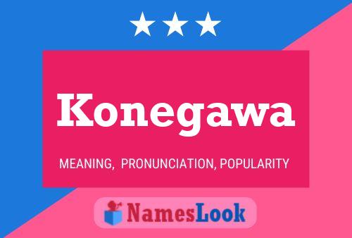 Poster del nome Konegawa