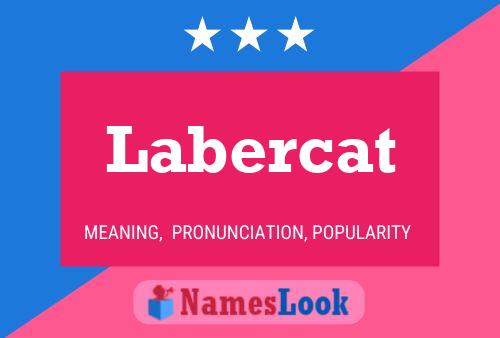 Poster del nome Labercat