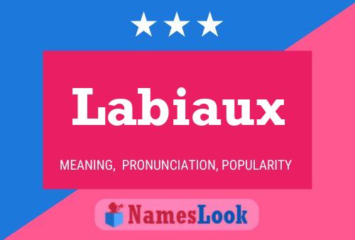 Poster del nome Labiaux