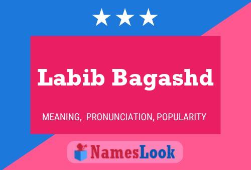 Poster del nome Labib Bagashd