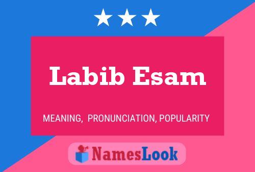 Poster del nome Labib Esam