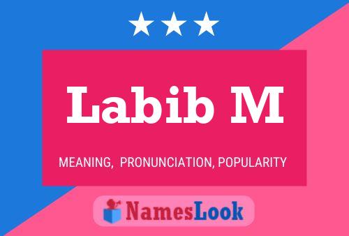 Poster del nome Labib M