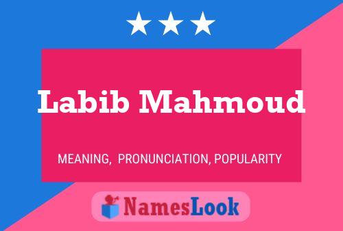 Poster del nome Labib Mahmoud