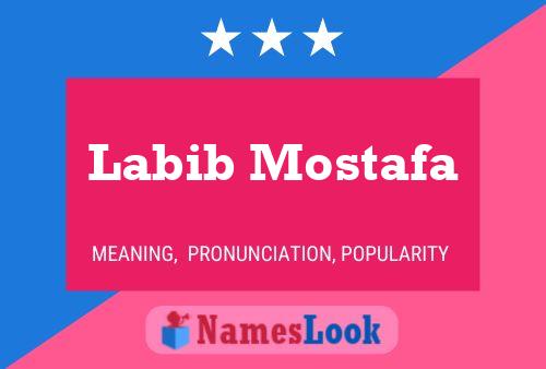 Poster del nome Labib Mostafa