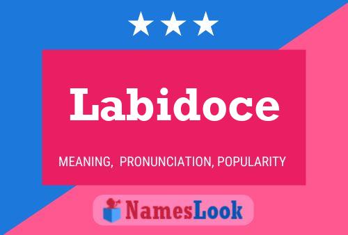 Poster del nome Labidoce