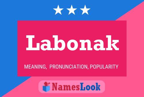 Poster del nome Labonak